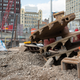 Illustration for article titled Inside the Futuristic Neighborhood Being Built Over a Busy NYC Rail Yard